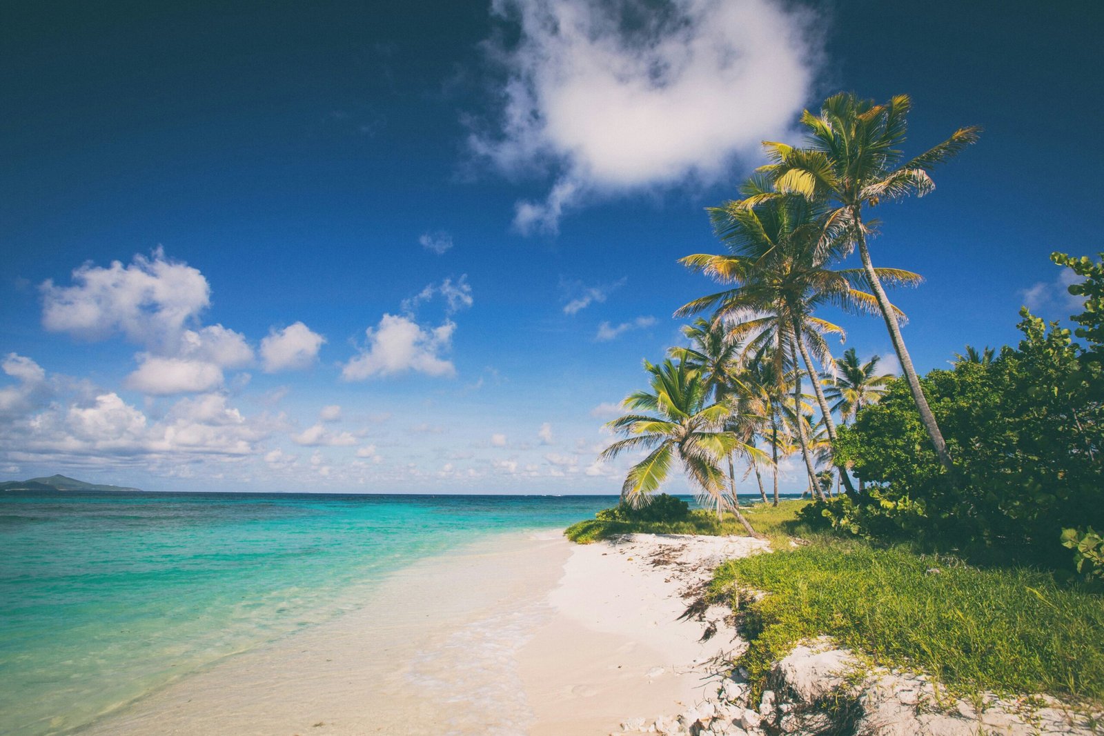 Tropical beach with clear blue water